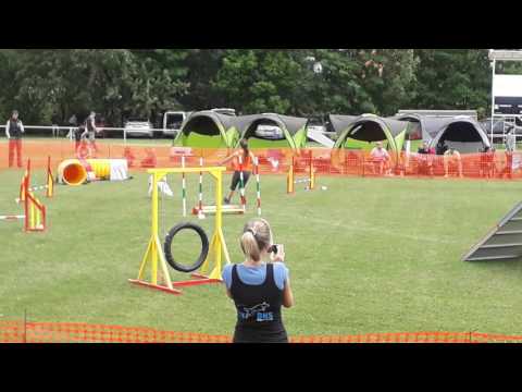 2017.06.17. A-Team kupa - Szilvi és Phoebe, Veterán Szintes Agility