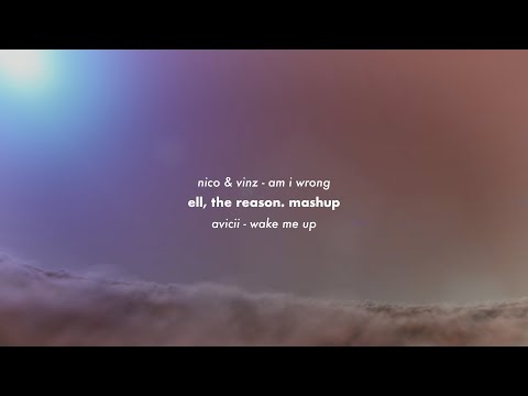 Nico & Vinz, Avicii - Am I Wrong x Wake Me Up (Mashup)