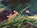 Bambi 2 Disc Special Edition TV Spot 2005