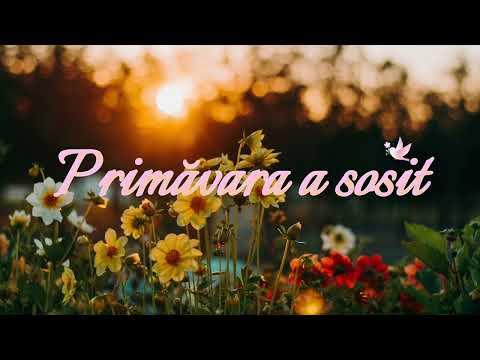 Primăvara a sosit | Cântec NOU 2026