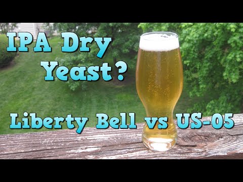 Dry Yeast for an IPA? M36 Liberty Bell vs US-05