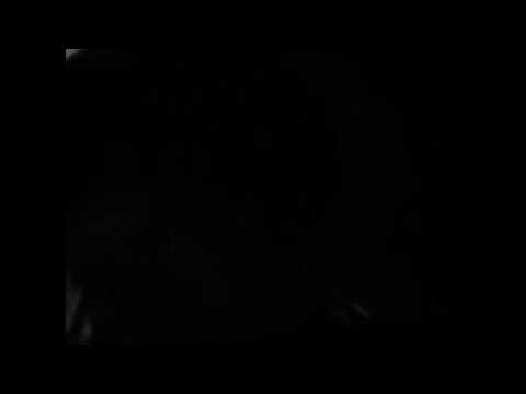 Daily vlog  27/06/16