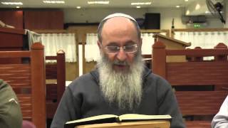 יום העצמאות | ”וכיפר אדמתו עמו“, כיצד? (מאמרי הראיה) – הרב אורי שרקי