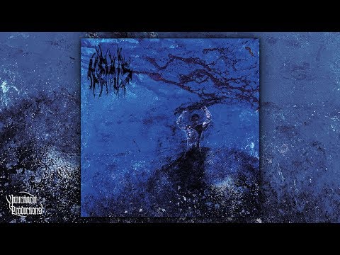 Nemus - Nachts im Teich (Official Track | HD)