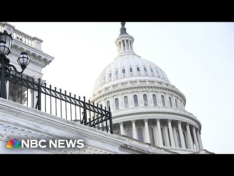 LIVE: House holds hearing on Department of Homeland Security funding lapse | NBC News