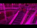 Merry Christmas Teletubbies Volume 2 Goodbye Scene All In Magenta