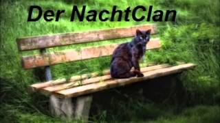 Warrior Cats Forum