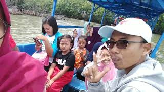 preview picture of video 'My holiday in Mangrove forest Pandansari Brebes'