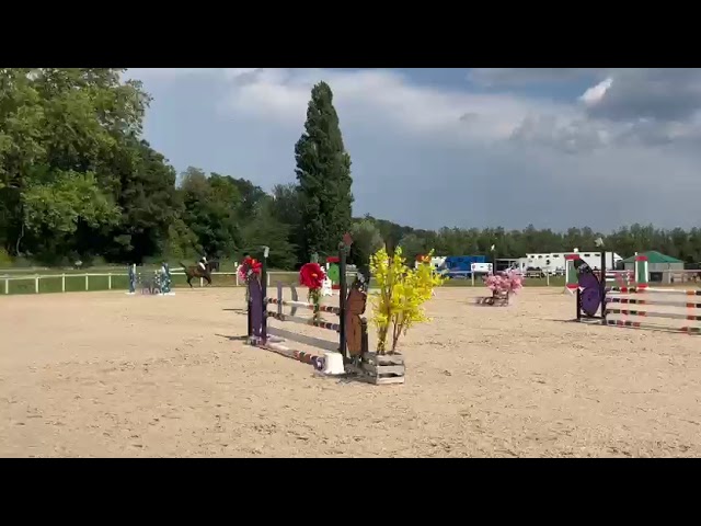Jument de 5ans 