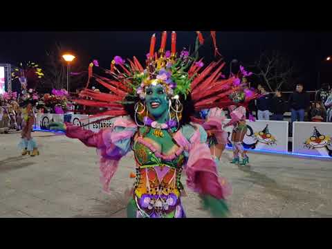 Trepa Coqueiro pt2 @desfile escolas de samba - Carnaval de Estarreja 2020