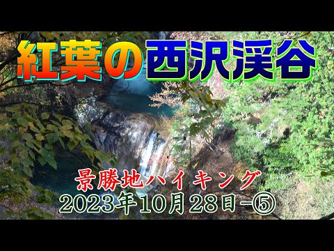 Folhas de outono no Vale Nishizawa/caminhada em local panorâmico 28 de outubro de 2023-⑤