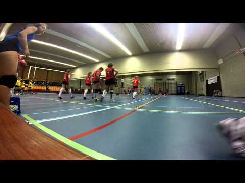 Klaverblad Verzekeringen Quinto DS1 - Volco DS4 set 1