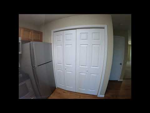 381-MF2-IO - Video 1 of 1