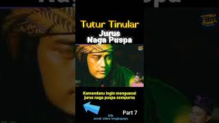 Download lagu kamandanu ingin menguasai jurus naga puspa tingkat sempurna #tuturtinular mp3