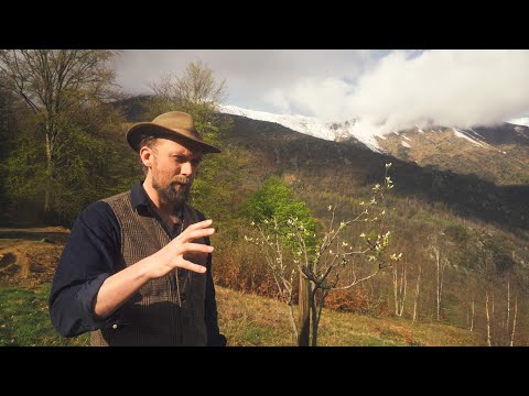 #160 Rain storms, Easter Lunch, And picking up work again slowly