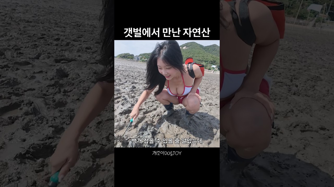 캠핑 중 조개 캐기, 안전하게 즐기기