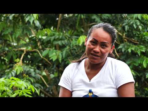 Las Mujeres Indígenas del Resguardo Citahcoyd ya forman parte de la #SembratónEnLaAmazonia