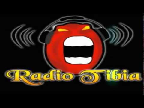 Amor Tibiano -MC NETINHO [2009]