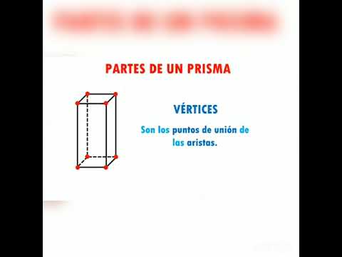 Partes de un prisma