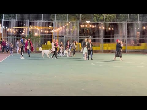 Rocket sirens sound in Tel Aviv as people run to take shelter | AFP