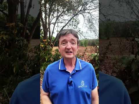 Vidéo YouTube 7