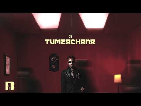 Ibraah - Tumeachana (Official Audio)
