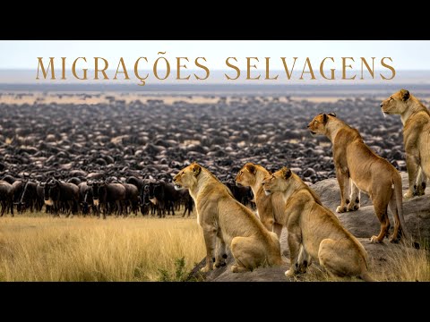 MIGRAÇÕES ESPETACULARES - GRANDES JORNADAS ALÉM DAS FRONTEIRAS | DOCUMENTÁRIO