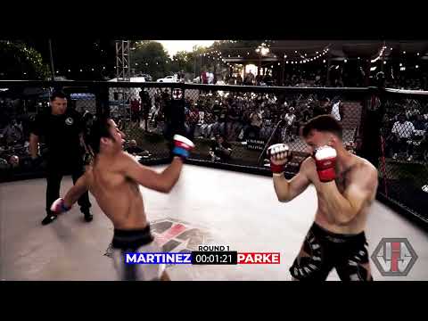VFS 9 - MARTINEZ VS PARKE