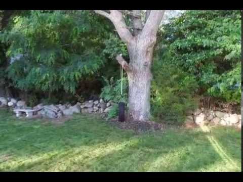 Home for Sale - 10 Mandy Drive Blackstone MA 01504 - Real Estate