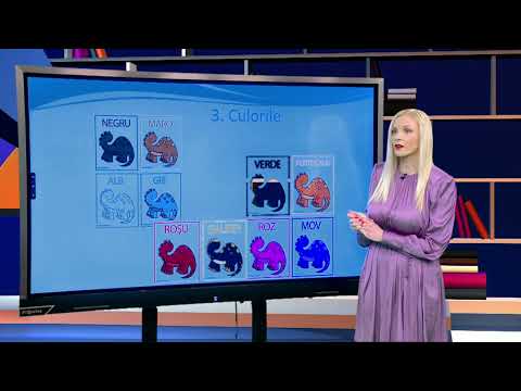 TeleŞcoala: Limba româna pentru ucraineni – lecţia 2, nivel B1 (@TVR2)