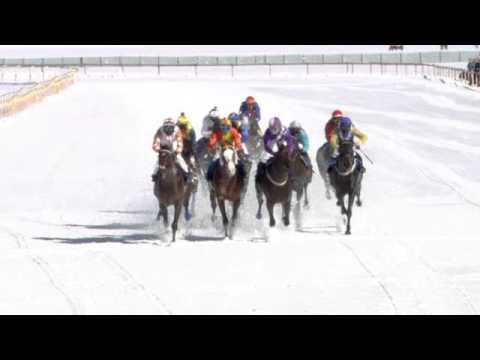 2016.02.21 Gübelin 77. Grosser Preis von St. Moritz (SWI) - Jungleboogie