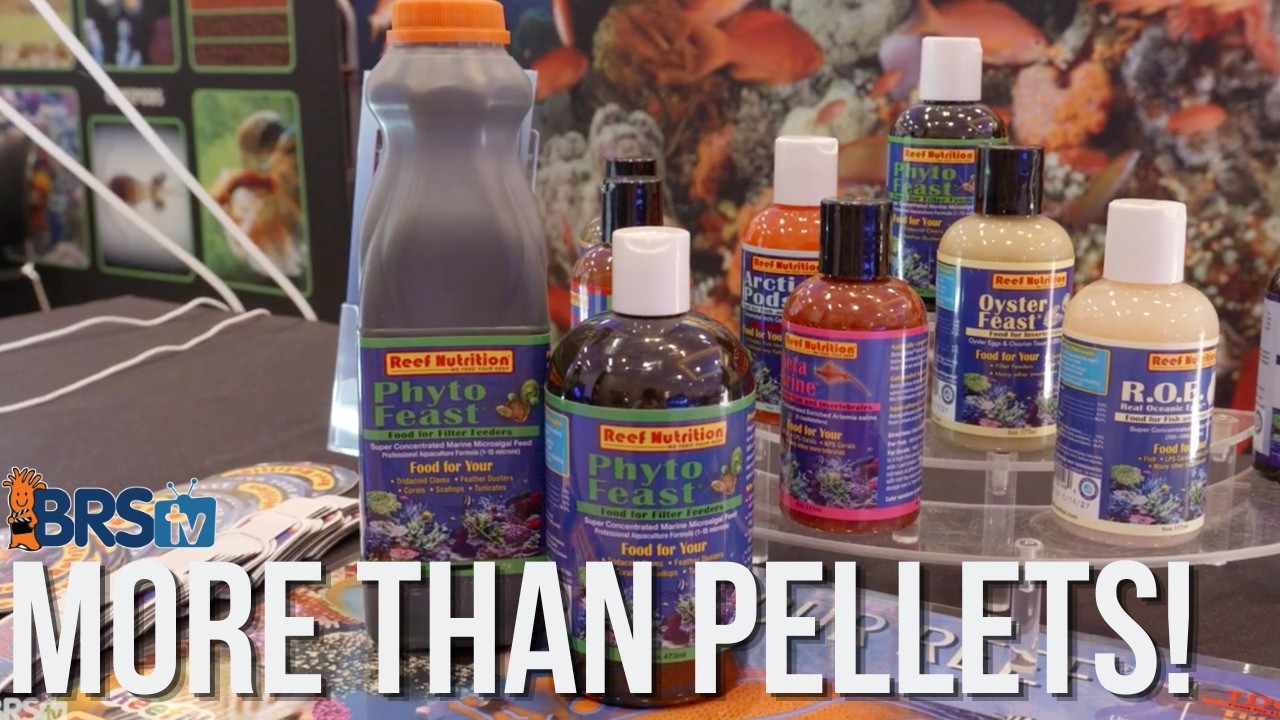 Video thumbnail for Awesome Saltwater Fish & Coral Foods From Reef Nutrtion! Reefapalooza California 2026