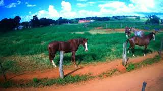 preview picture of video 'Passeio pela região de São Francisco de Goiás. #drone #hubsan #natureza #brasil'