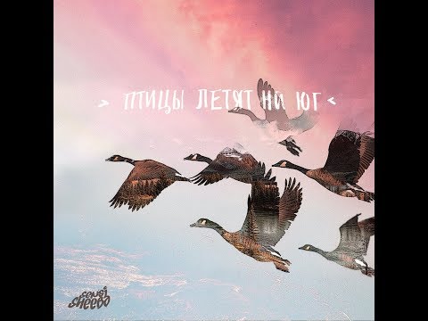 SENSI SHEEBA - Птицы летят на юг
