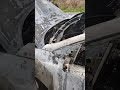 Kia Motors - 2019 Kia started on fire and completely burnt. No warning. Barely survived.