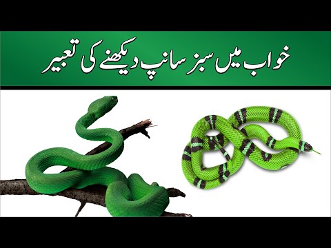 🐍Khwab mein Green Hara Saanp dekhna | Green Snake in Dream | Sabz | Khwabon ki Tabeer Episode 95
