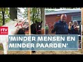 Paarden, handelaren en handjeklap op de 820e Zuidlaardermarkt | RTV Drenthe
