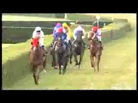 Velká letní cena 25.08.2012 Pegas(DS Pegas)Petr Foret