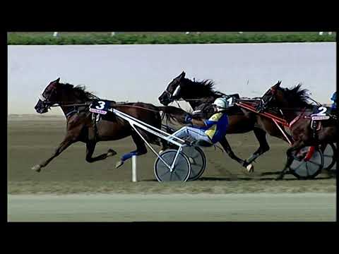 Napoli Trotto 24/09/2021 - 2ª corsa