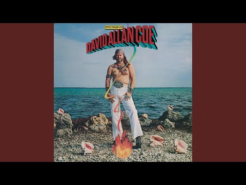 On My Feet Again - David Allan Coe