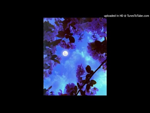 [FREE] DTF x Ninho x Leto type beat " Briller " (prodSpleen)