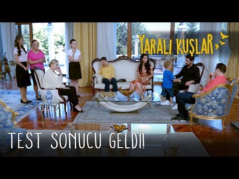DNA Testi Sonucu Geldi! | Yaralı Kuşlar 84. Bölüm (English and Spanish)