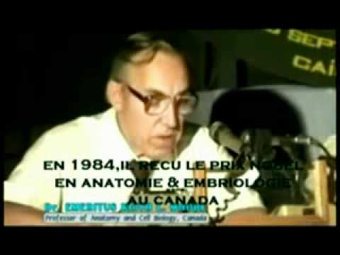 The Signs   Episode 1   venue de l antéchrist et le miracle de dieu