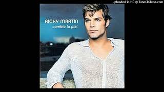 Ricky Martin Cambia La Piel Remix