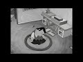 Jay Sherman S Student Film