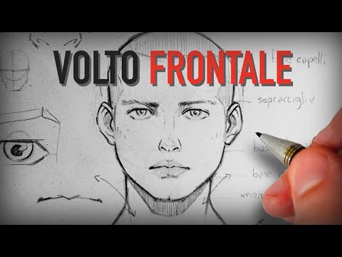 How to draw the front face | TUTORIAL