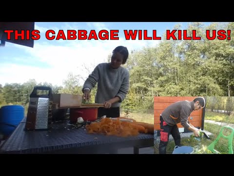 How To Make Traditional Polish Sour Cabbage The Old-fashioned Way