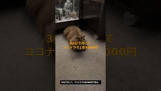 まだデータ入力で副業してるの？AIで月5万 #副業 #AI副業 #バイブコーディング