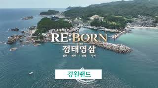 지역 활력 캠페인 RE:BORN with 정태영삼 – 삼척편