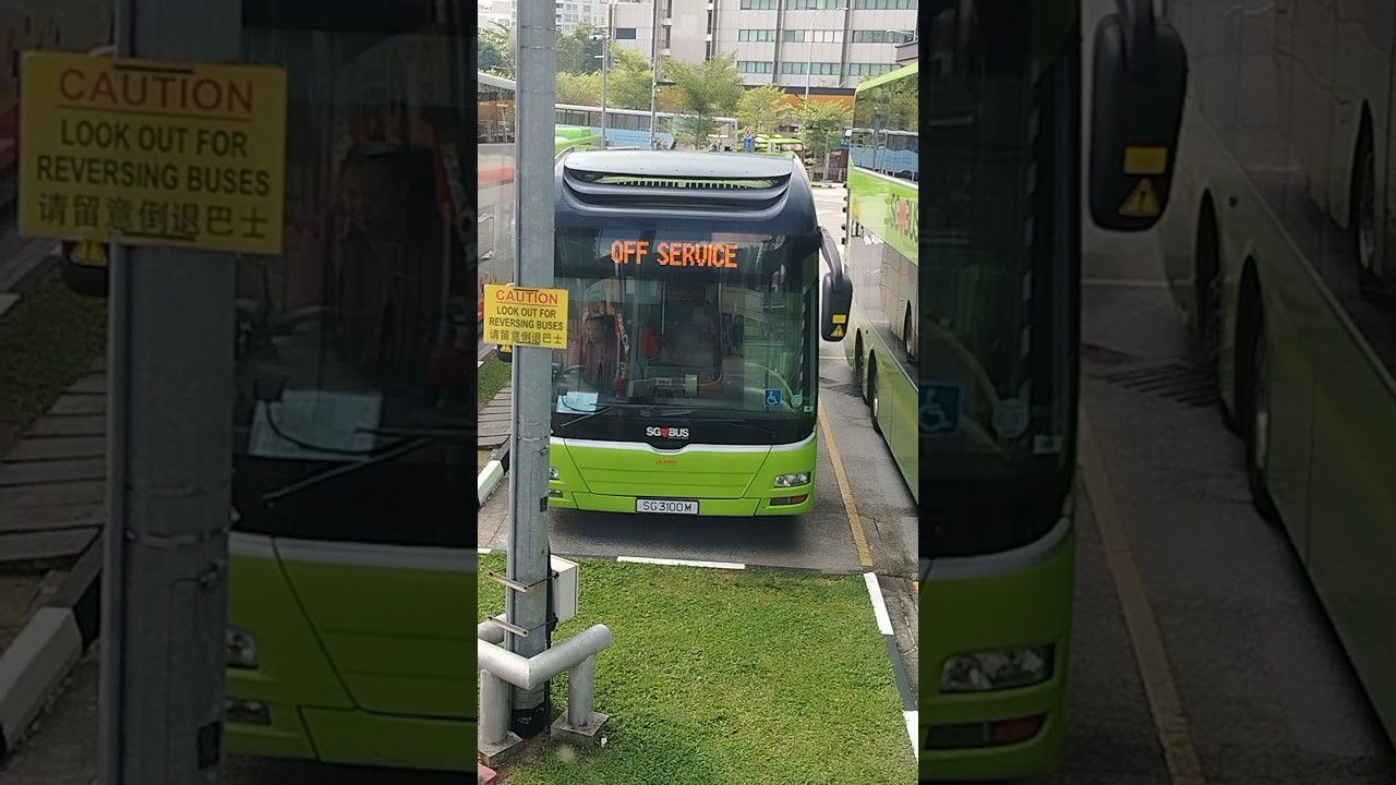 SG3100M OFF SERVICE (976)